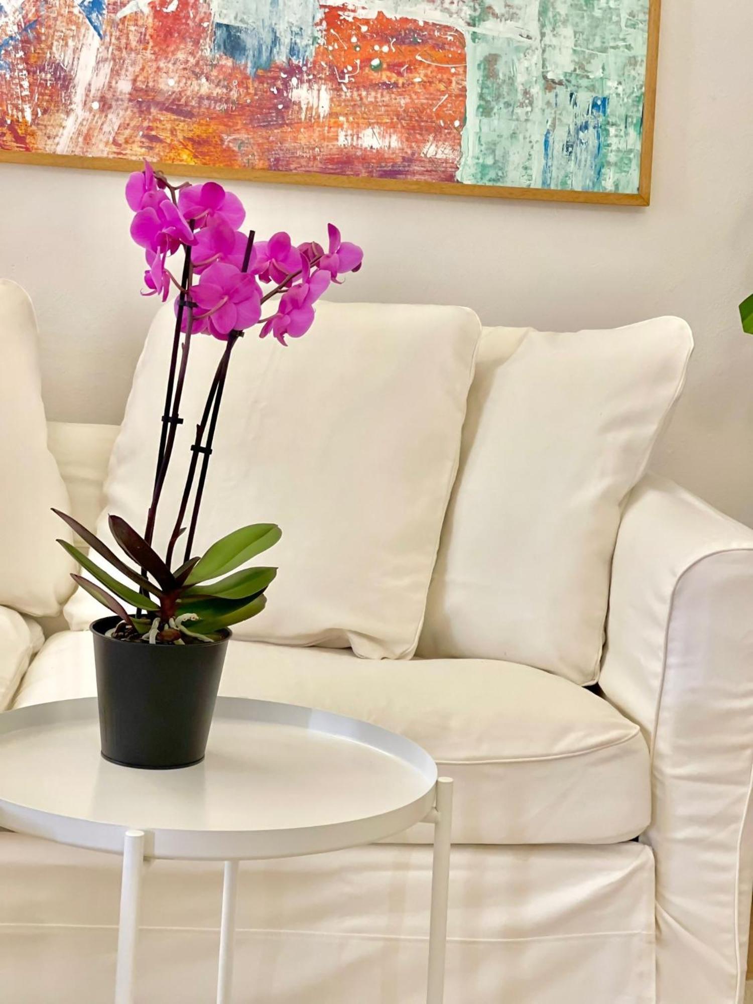 Susannas Lovely New Apartment リヴォルノ エクステリア 写真